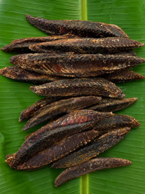 Masi Karuvadu